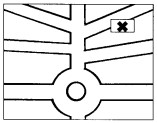 Option B