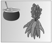 Option C