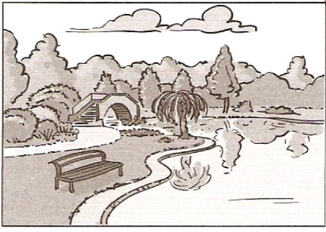 Option A