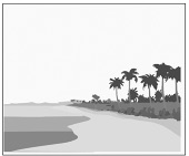 Option A