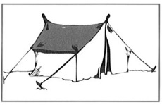 Option B