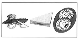 Option C