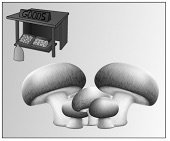 Option A